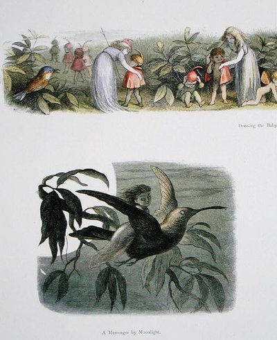 De Baby Elfjes Aankleden, en Een Boodschapper bij Maanlicht, illustraties uit In Fairyland: A Series of Pictures from the Elf-World door William Allingham en Andrew Lang door Richard Doyle
